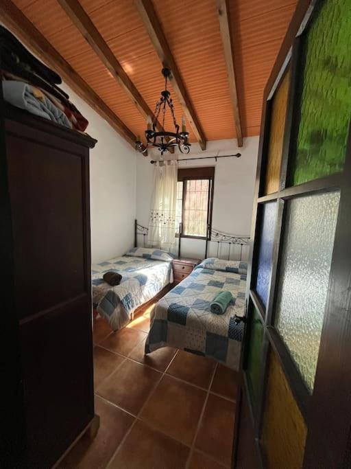 Farmhouse Surrounded By Centenary Olive Trees Olias Luaran gambar
